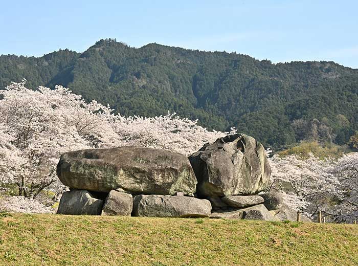 bunka16_kashihara2