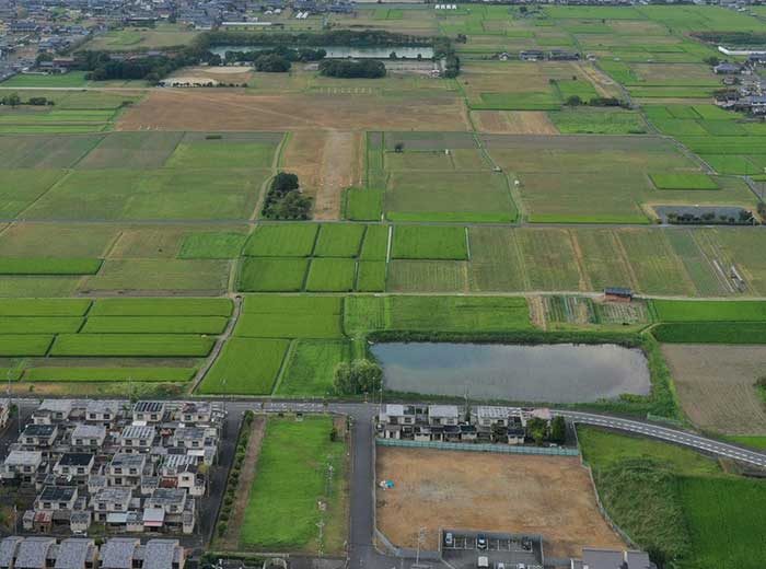 bunka16_kashihara3