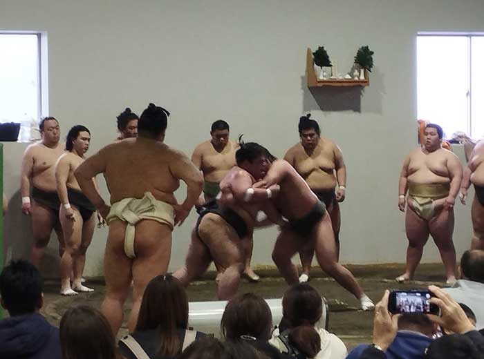 bunka6_takada2