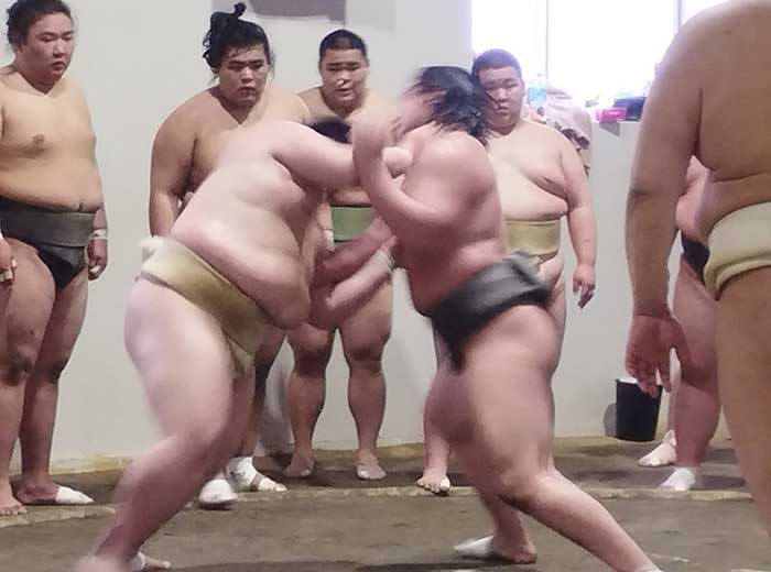 bunka6_takada3
